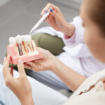 dental professional discussing dental implants with a patient with a dental model
