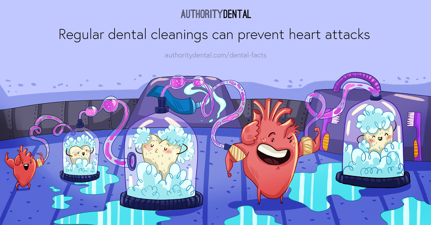 graphic that says regular dental cleanings can prevent heart attacks, gum disease is linked to heart health,